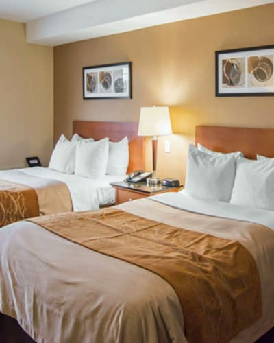 comfort_inn_airport_east_1
