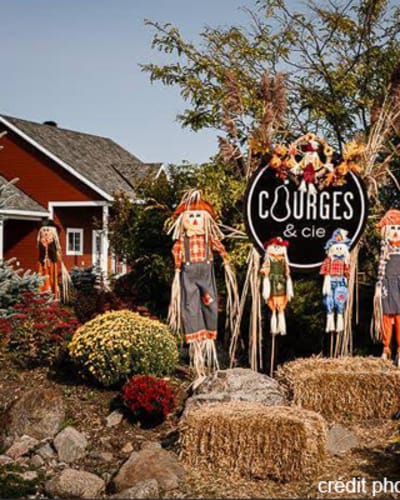 Courges & cie