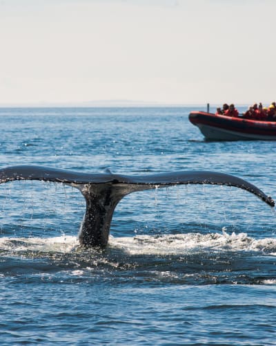 croisieres_essipit_4