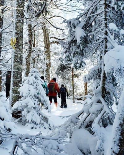 d_tour_tremblant_1_h