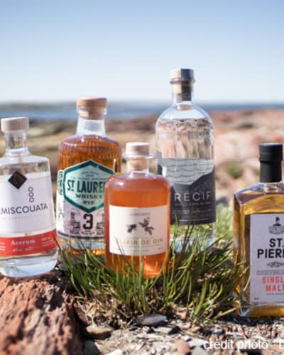 distillerie_des_marigots_1