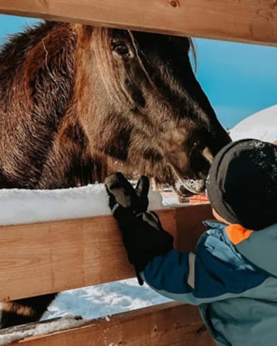 elevage_de_lessard_1_h