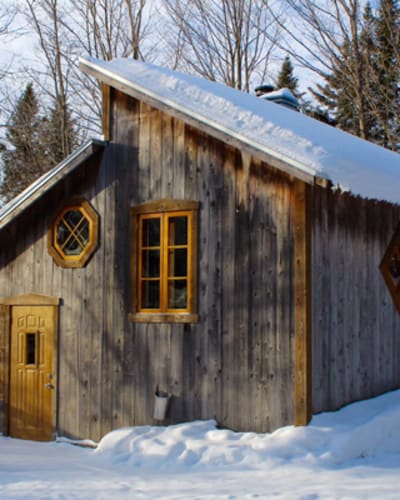 entre_cimes_et_racines_1_h