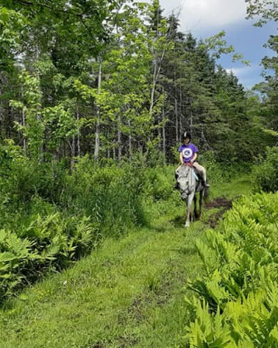 equitation_dawson_1