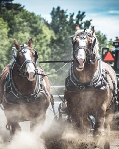 exposition_agricole_de_la_mrc_de_becancour_1