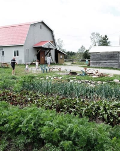 ferme_des_petits_torrieux_1