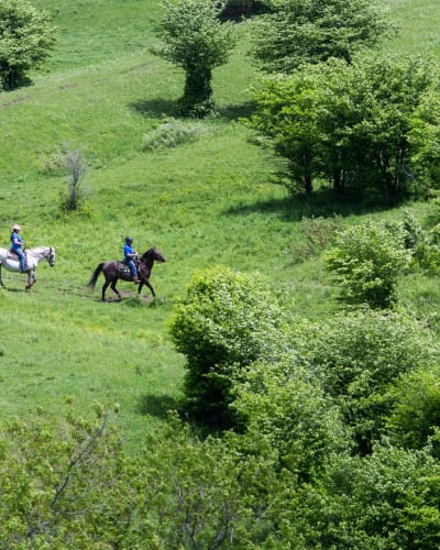 ferme_du_joual_vair_1
