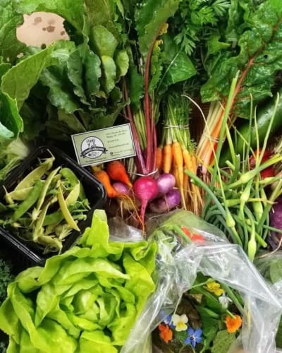 ferme_erb__la_grange_maraichere_1