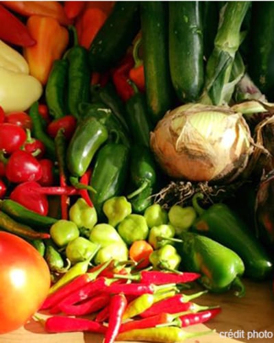 ferme_f_turcot_et_fils_1