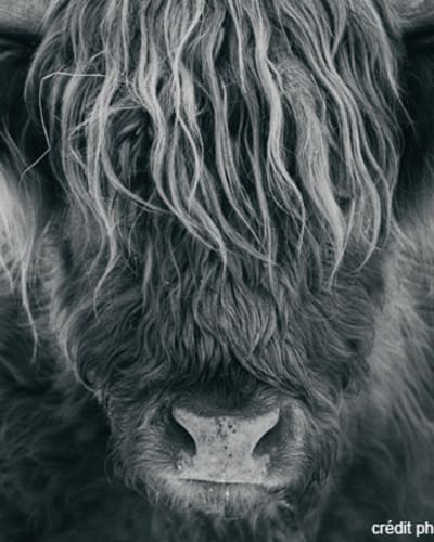 ferme_genty_senc_1