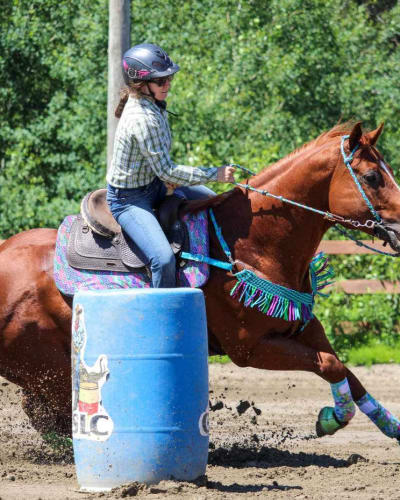 festival_western_du_boise_1