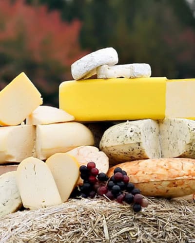 fromagerie_du_petit_plaisir_1