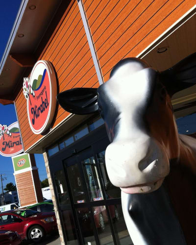 fromagerie_mirabel_3