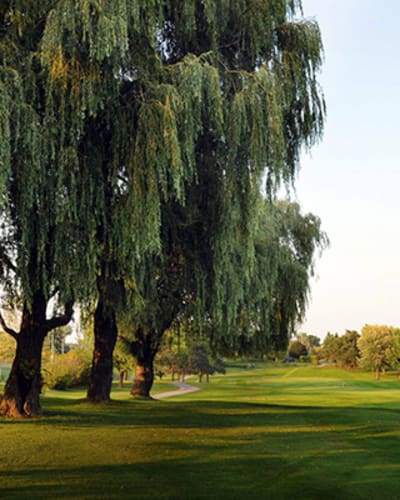 golf_drummondville_1