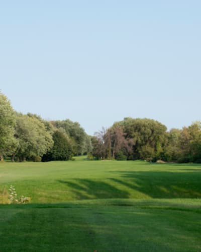 golf_meadowbrook_1