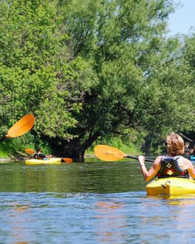 kayak_safari_1