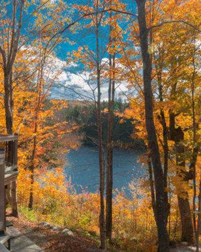 kenauk_nature_2_a
