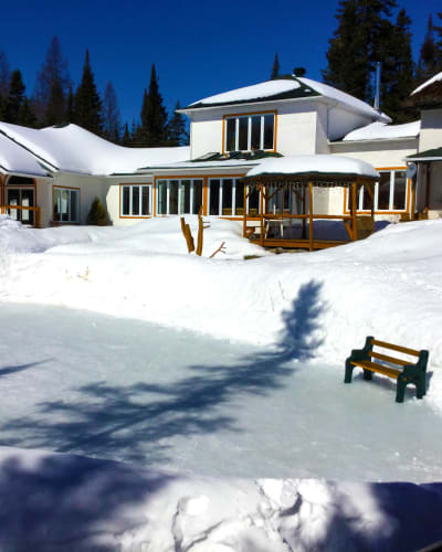 la_chaumiere_fleur_soleil_1_h