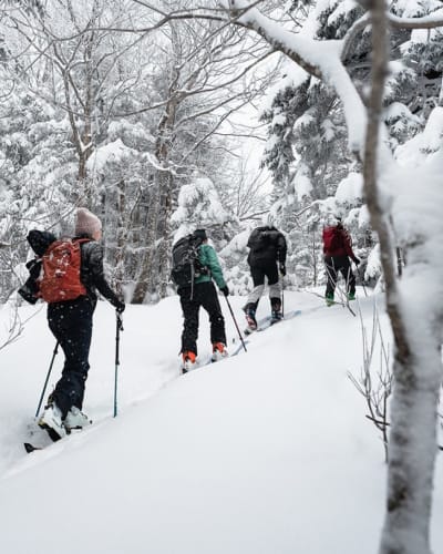 la_randonnee_alpine_dans_brome_missisquoi_1_h