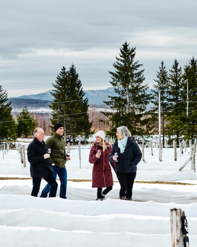 la_route_des_vins_de_brome_missisquoi_1_h