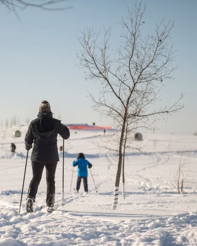 la_tohu_la_cite_des_arts_du_cirque_1_h