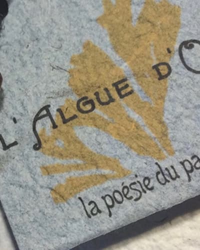 lalgue_dor_1