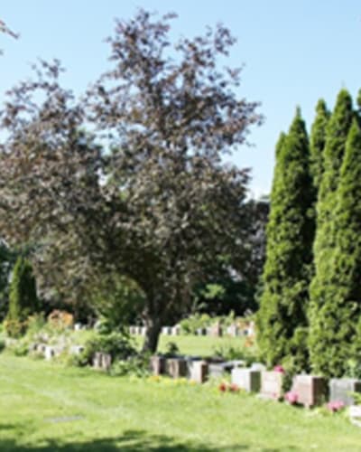 le_cimetiere_mont_royal_1