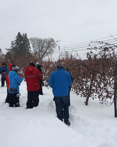 le_circuit_du_paysan_1_h