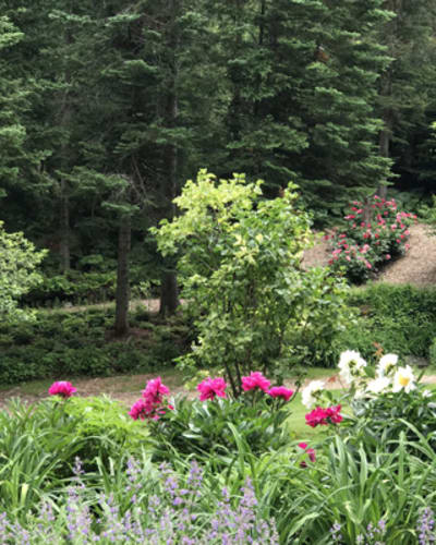 le_jardin_de_francois_1