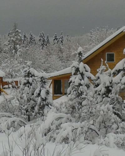 les_chalets_st_fulgence_1_h