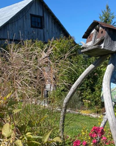 les_jardins_de_saint_maurice_1