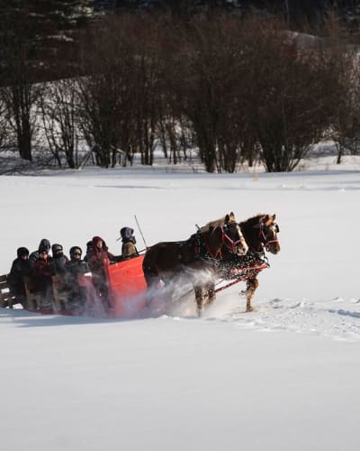 les_montagnards_de_charlevoix_1_h