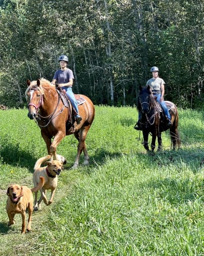 les_montagnards_de_charlevoix_2