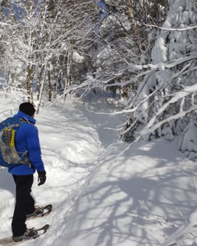 les_sentiers_de_raquette_municipalite_de_saint_donat_1
