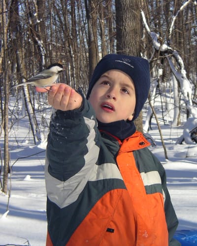 lile_saint_bernard_3_h