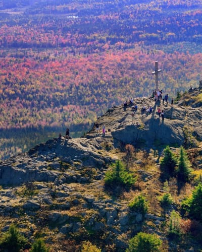 mont_ham_1_a