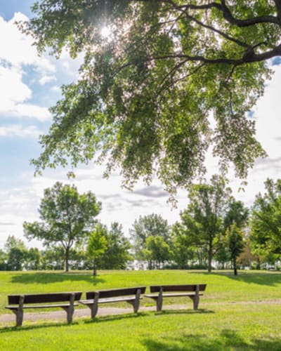 parc_de_la_promenade_bellerive_1