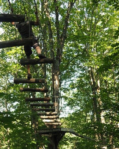 parc_de_sentiers_aeriens___foret_de_maitre_corbeau_1