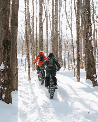 Parc d'Environnement naturel de Sutton
