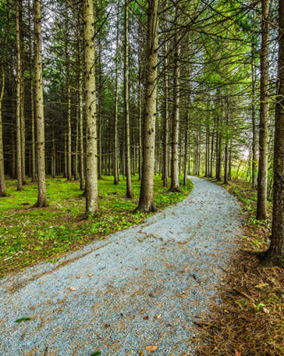 parc_des_deux_rivieres_1