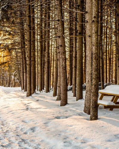 parc_des_deux_rivieres_1_h