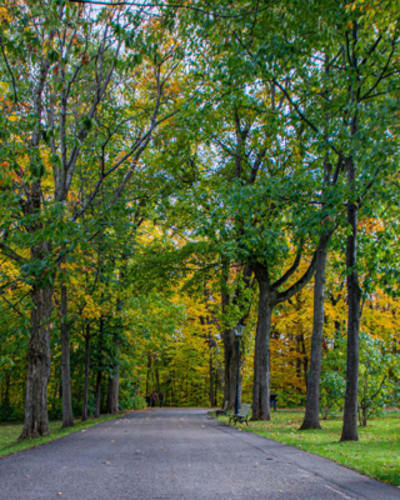 parc_du_bois_de_coulonge_1_a