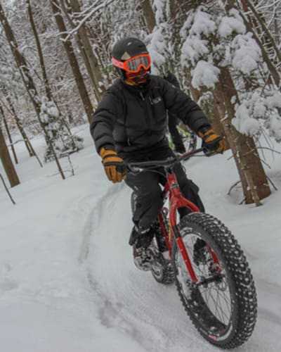 parc_du_domaine_vert_1_h