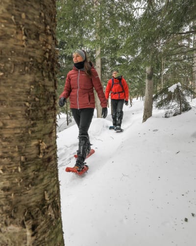 parc_du_mont_bellevue_1_h