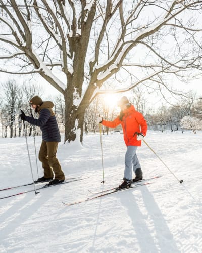 parc_du_mont_royal_1_h