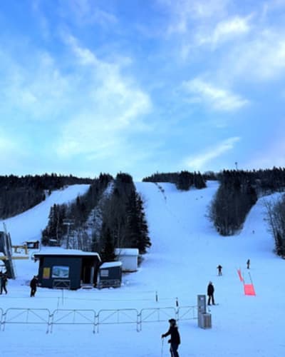 parc_du_mont_saint_mathieu_1_h