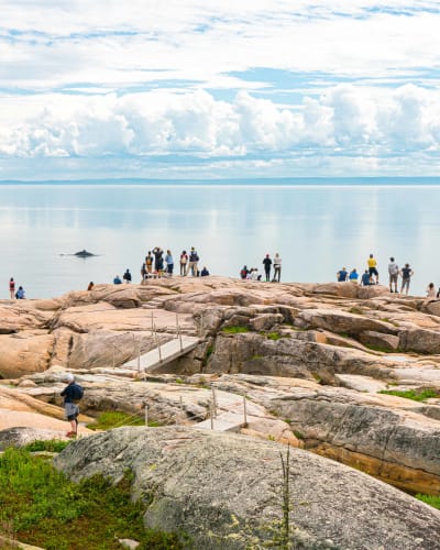 Saguenay–St. Lawrence Marine Park