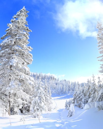 parc_national_des_monts_valin_1_h