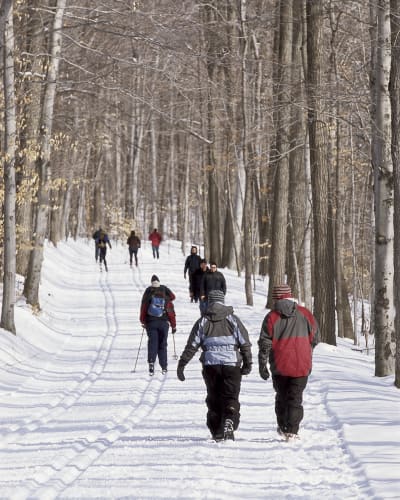 parc_national_du_mont_saint_bruno_1_h