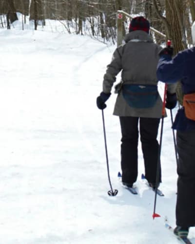 parc_nature_du_bois_de_liesse_1_h